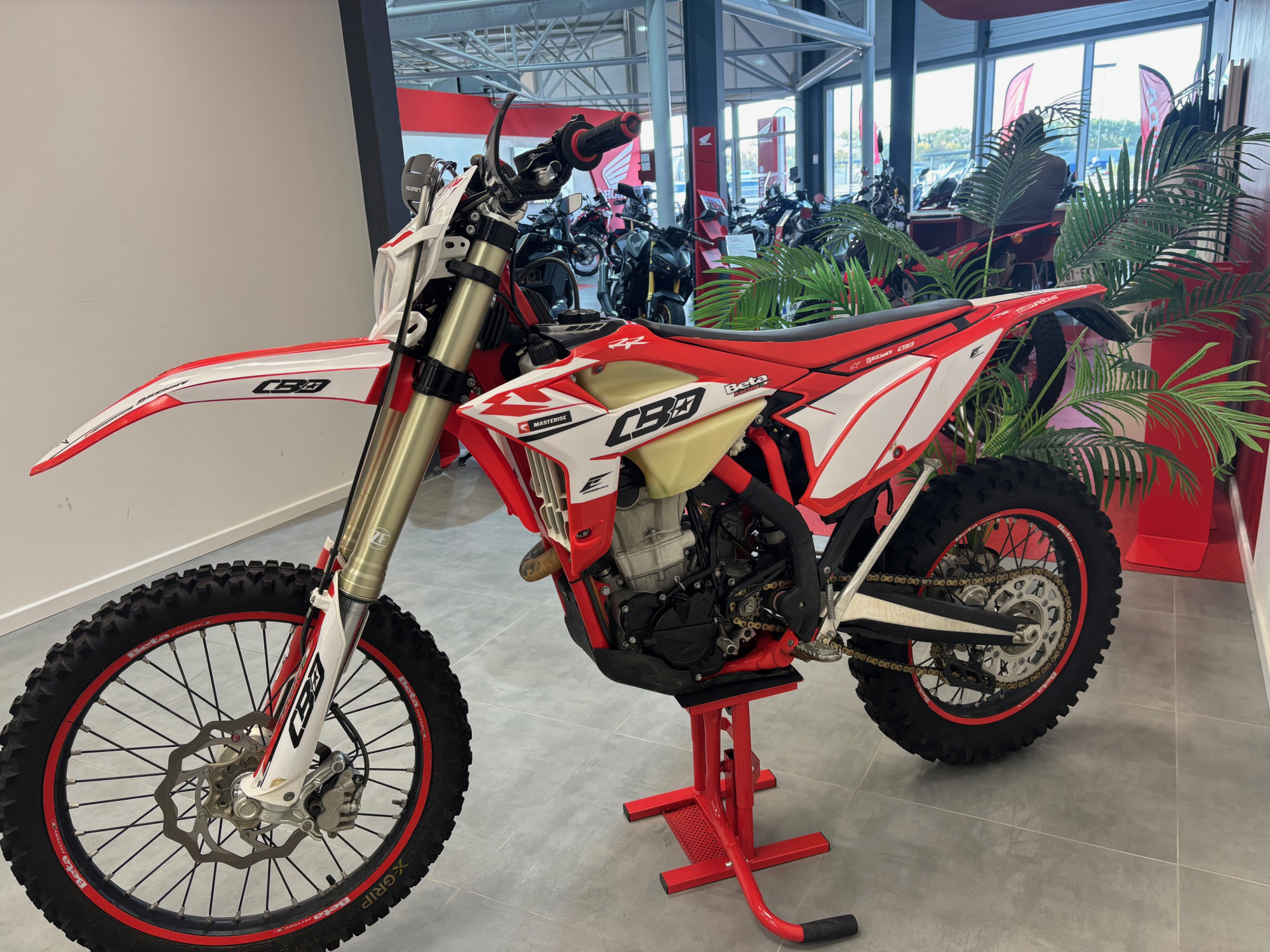 BETA RR 350 STANDARD