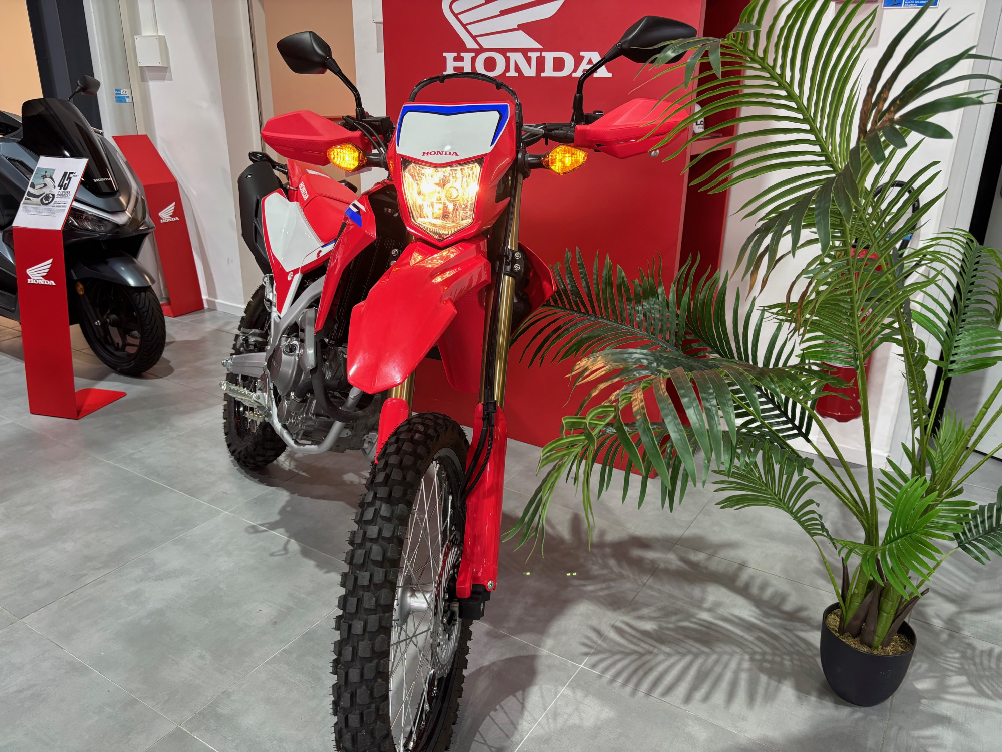 HONDA CRF 300L