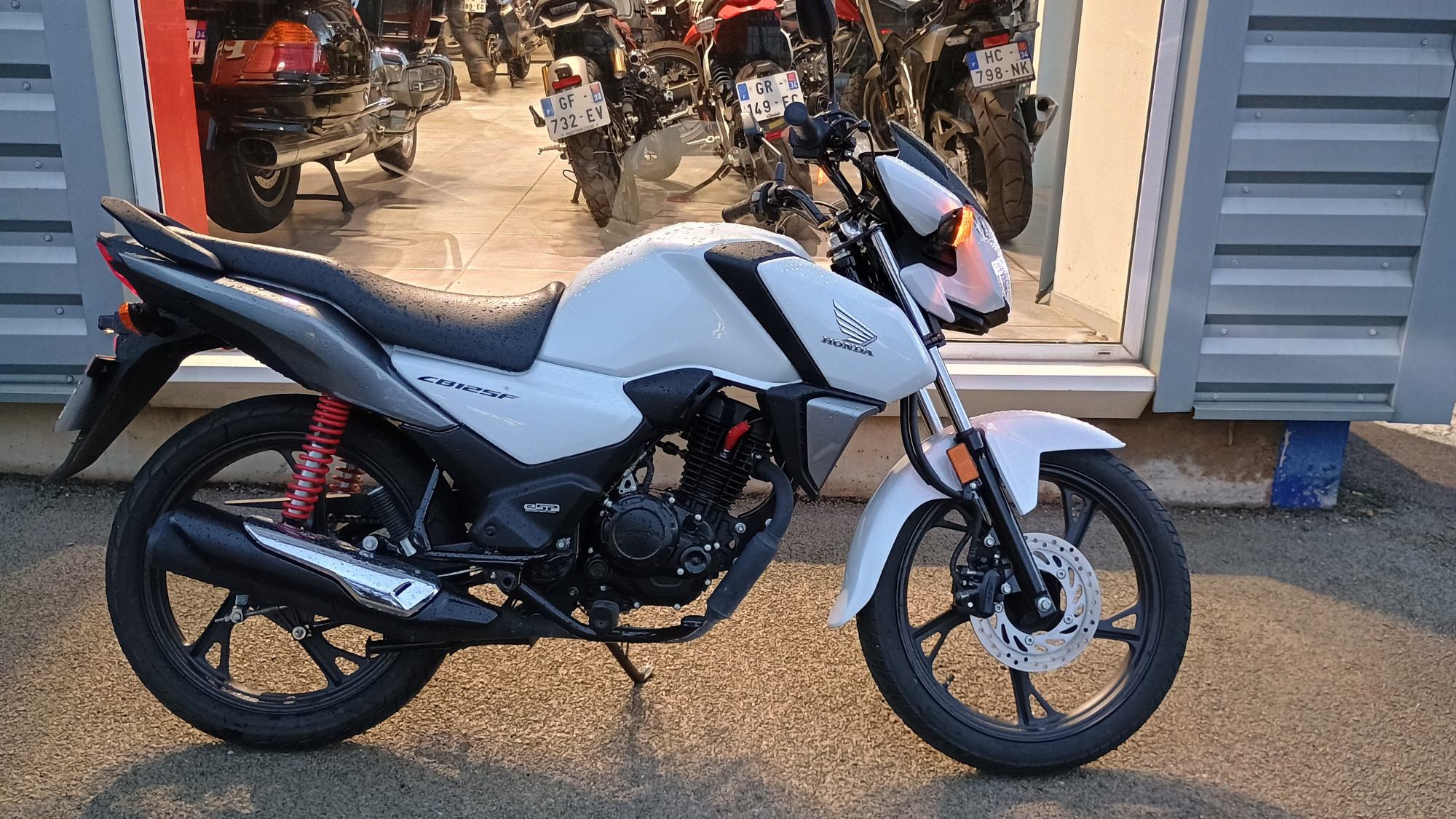 HONDA CBF 125