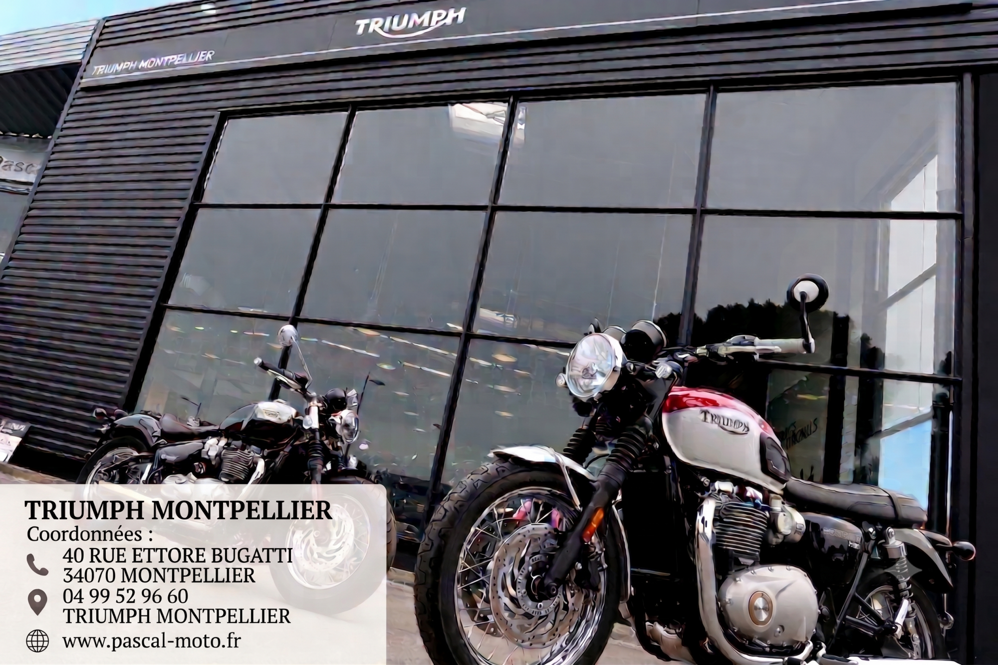 TRIUMPH SPEED TWIN 900