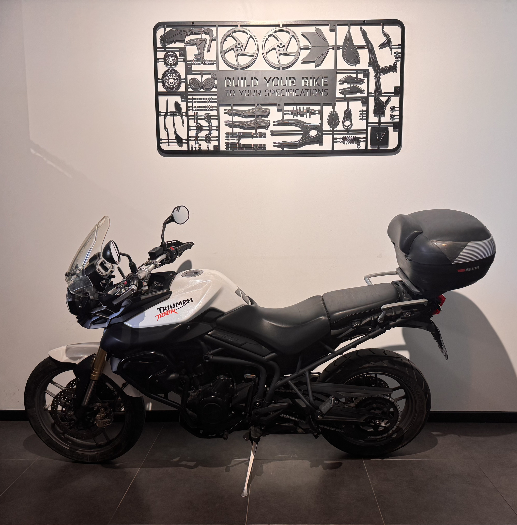 TRIUMPH TIGER 800