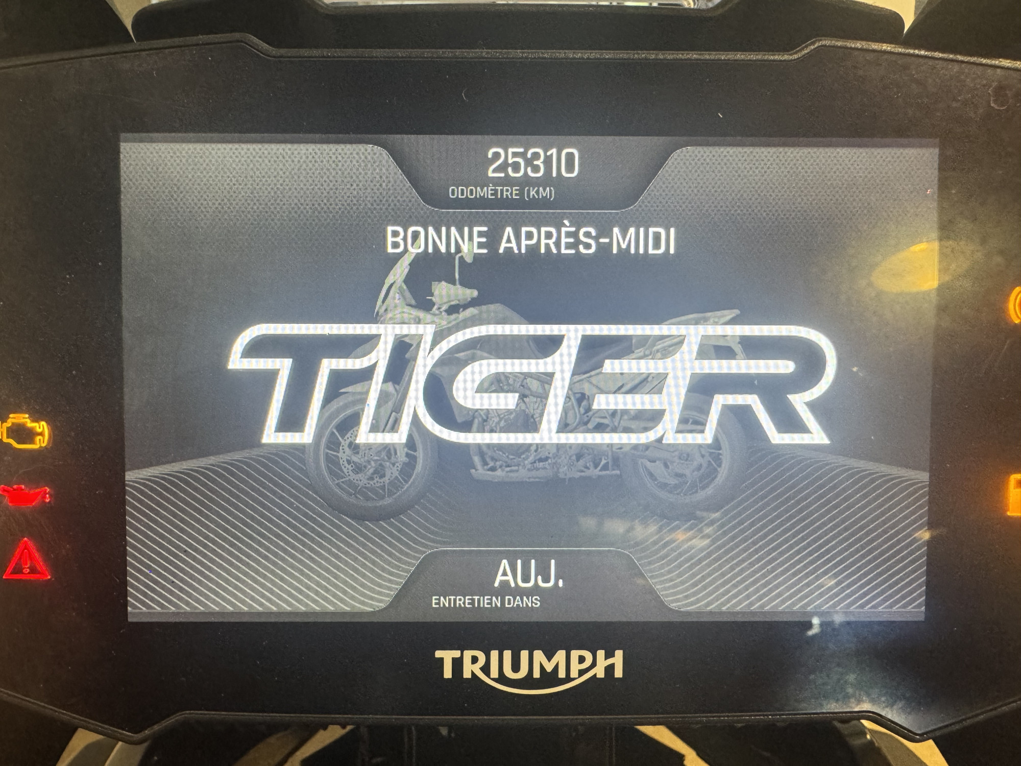 TRIUMPH TIGER 900 GT PRO