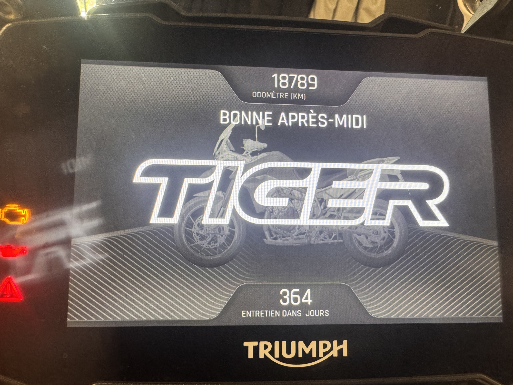 TRIUMPH TIGER 900 RALLY PRO