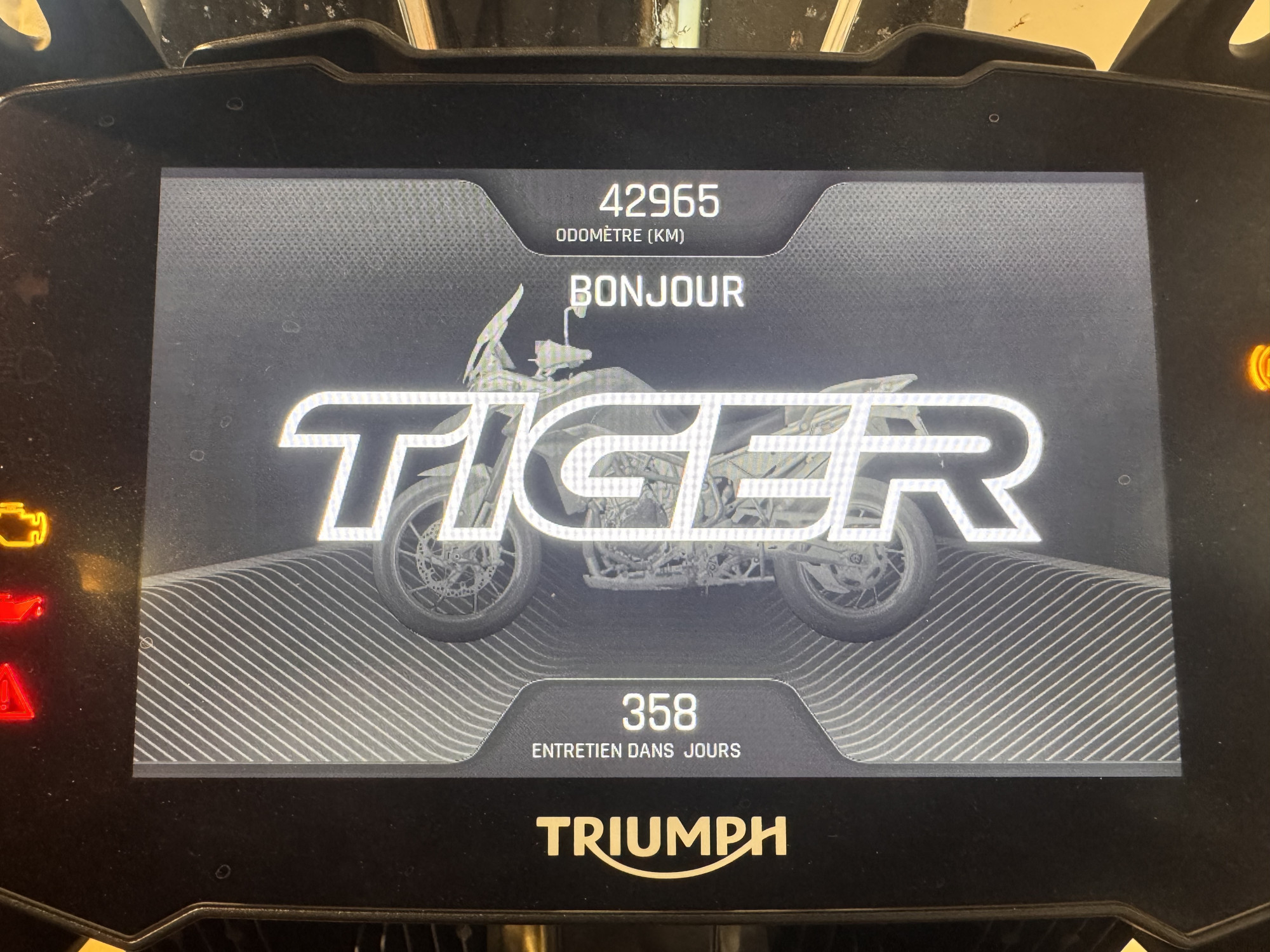 TRIUMPH TIGER 900 RALLY PRO