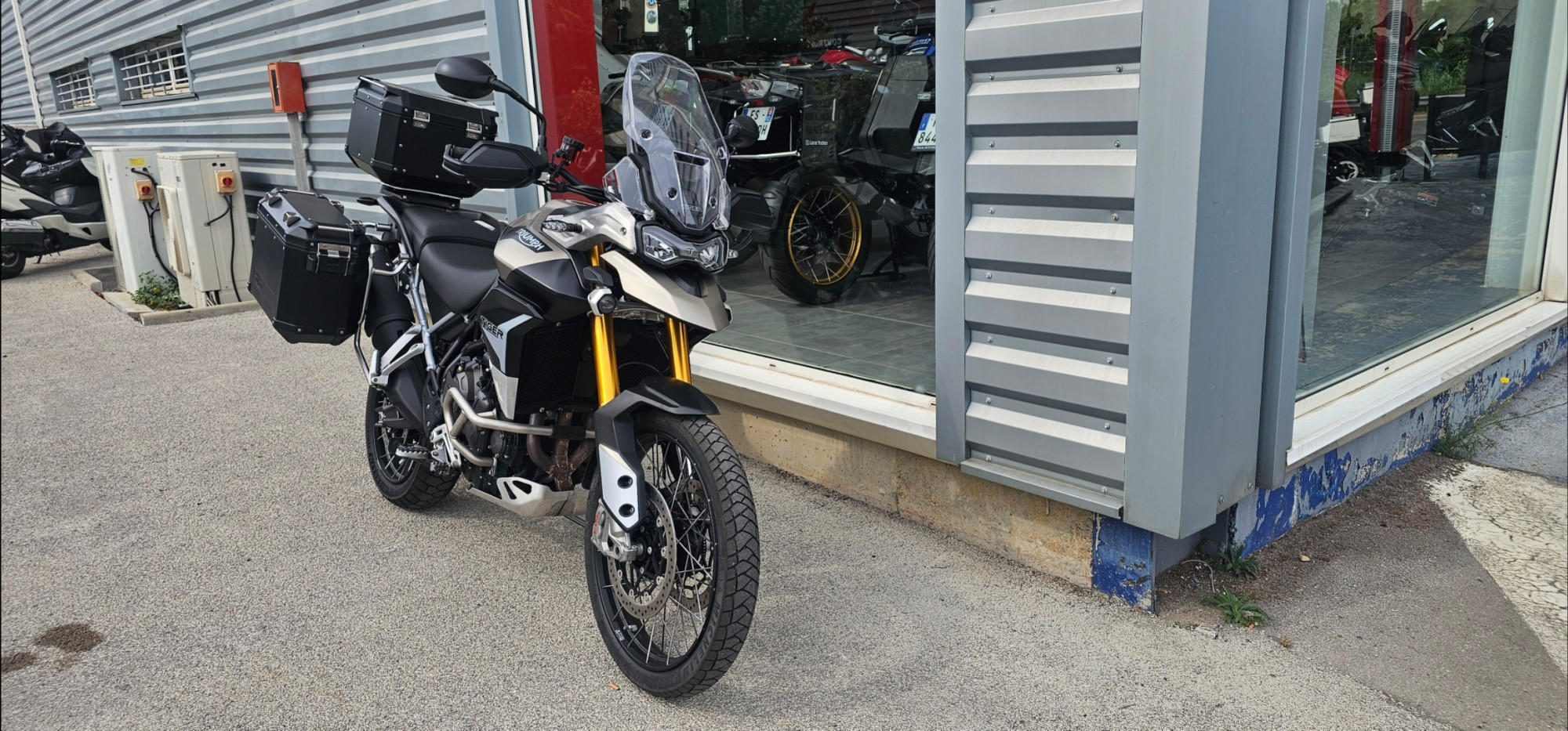TRIUMPH TIGER 900 RALLY PRO
